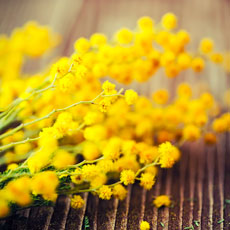 Marzo